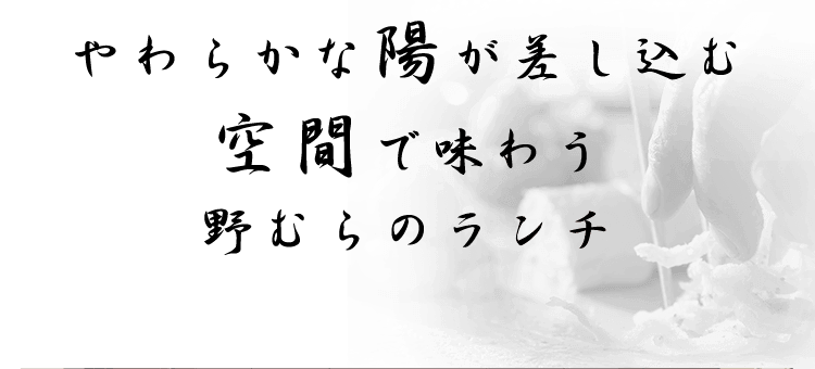 温かな陽が差し込む